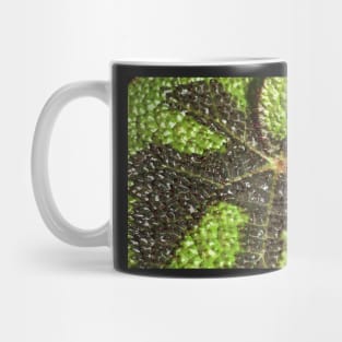 Begonia Rex Leaf Detail Mug